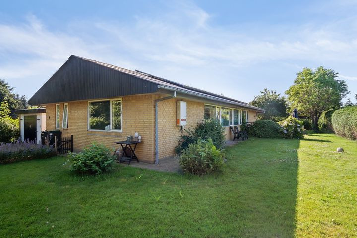 Se dagens updates fra Hammel her