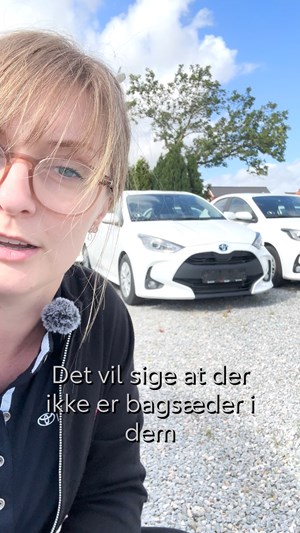 opslagsbillede