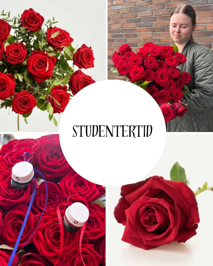 Vestergades Blomster ApS tilbyder smukke studenterroser til årets dimittender