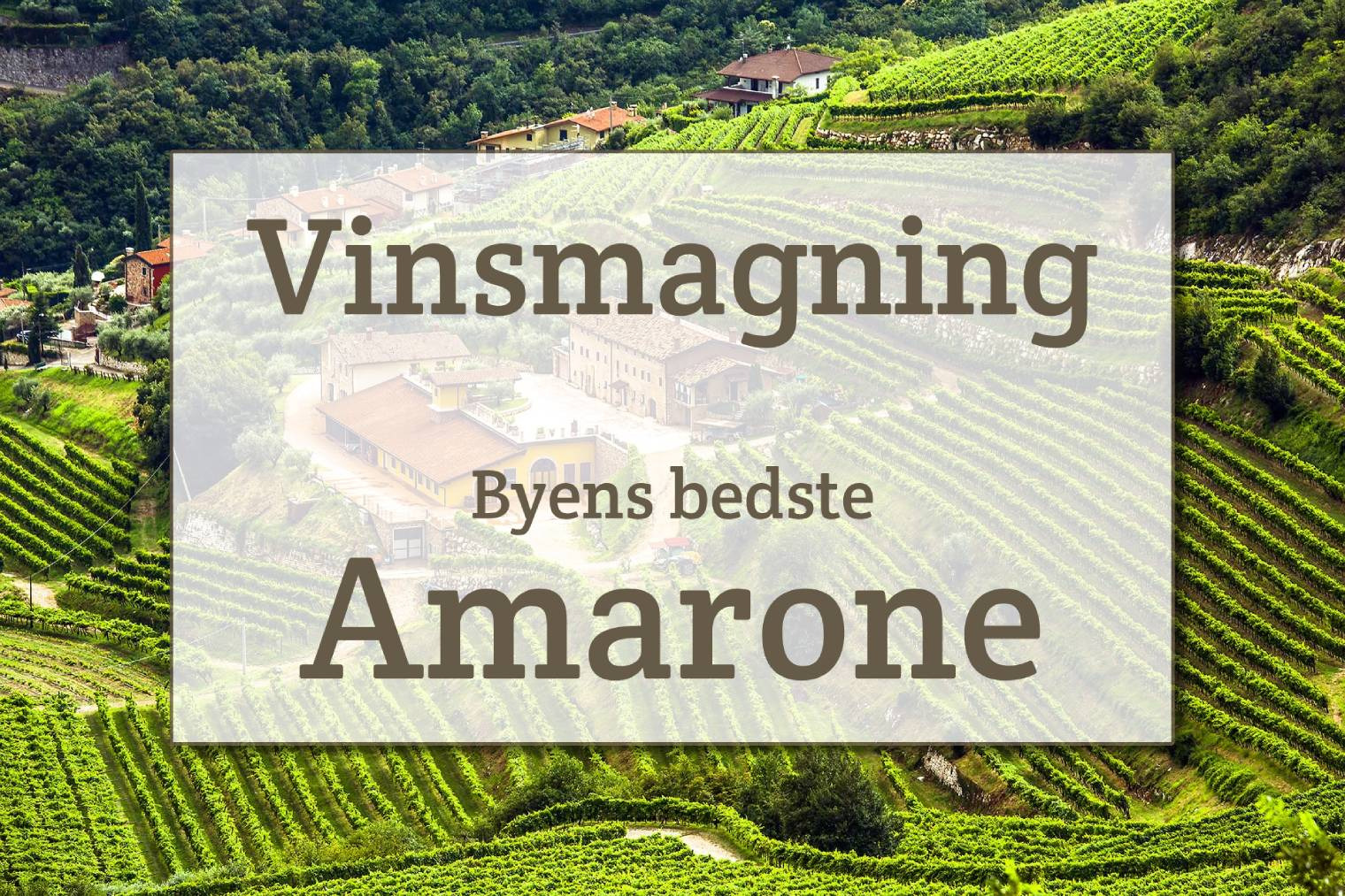 Oplev Amarone-vine i verdensklasse i Svendborg