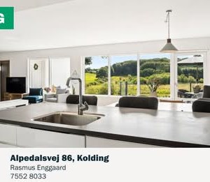 opslagsbillede
