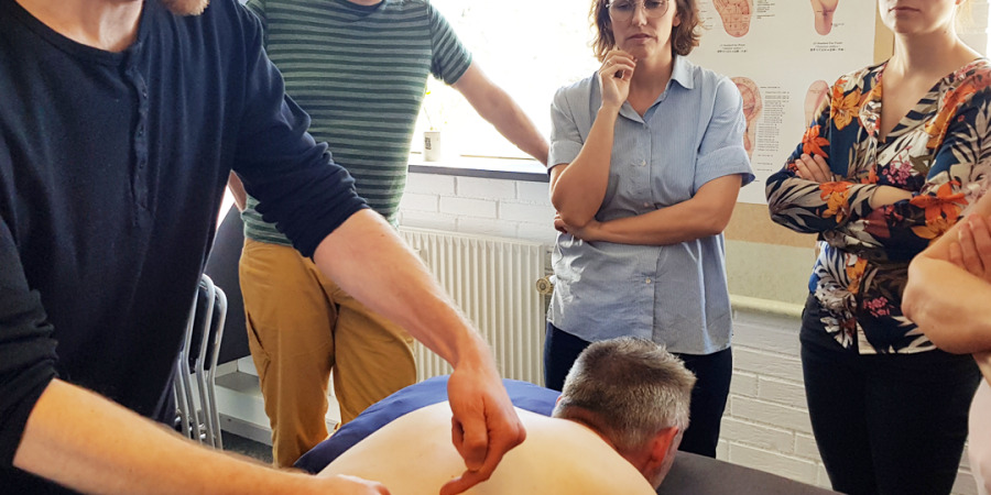 Akupunkturbehandling under kyndig supervision i Hovedgård