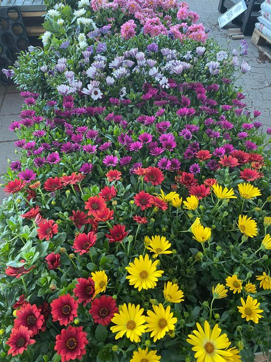 Hold dig ajour med dagens opdateringer fra Viby J