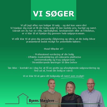 Opslagsbillede