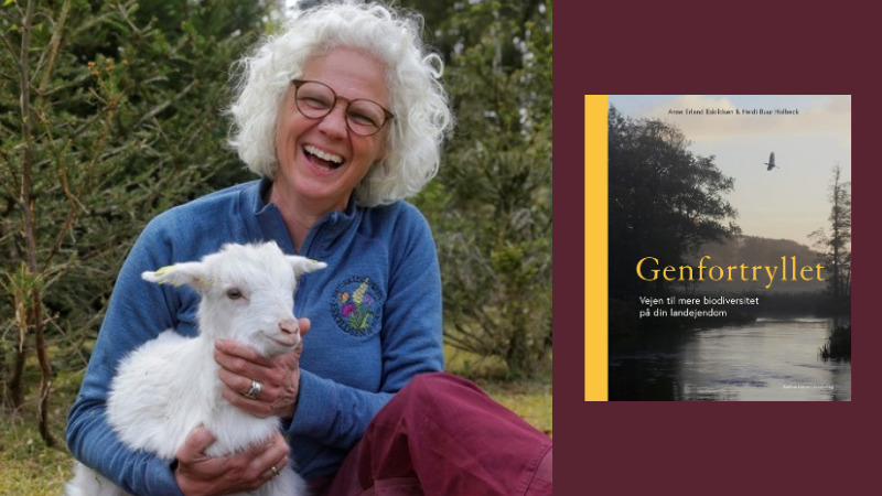 Få inspiration til at forbedre biodiversiteten på din ejendom