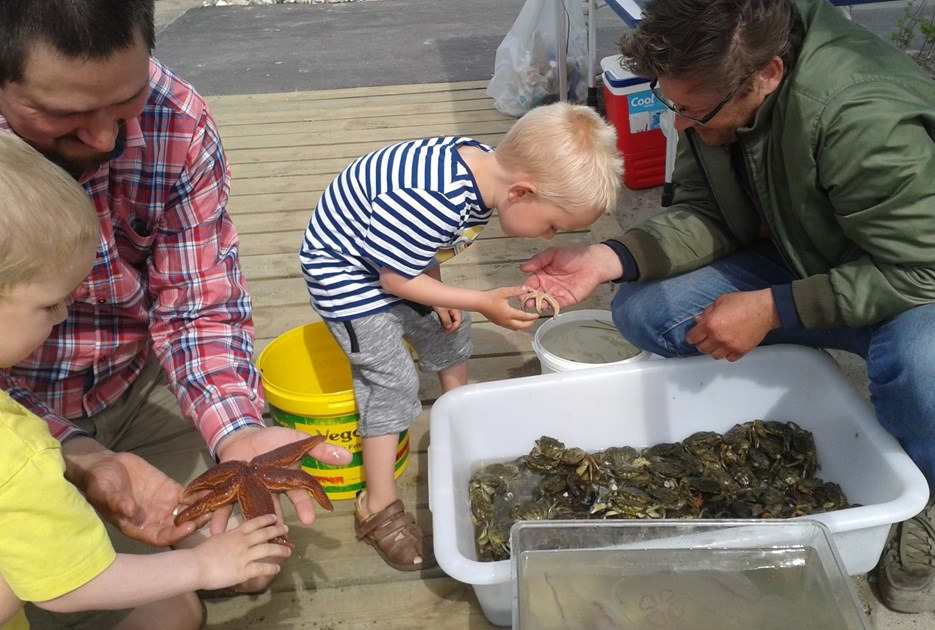 Blå Flag – sæt krydser i din kalender