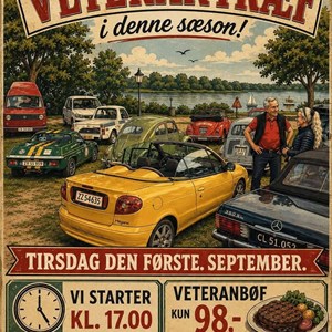 Opslagsbillede