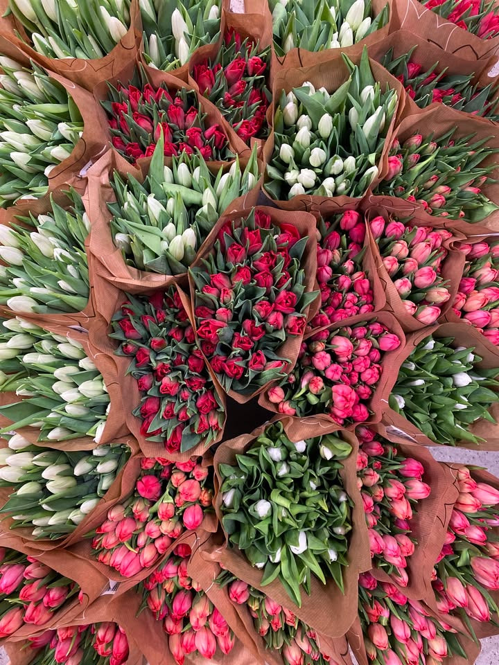 Min Købmand i Asp tilbyder sprøde tulipaner til ja tak-pris