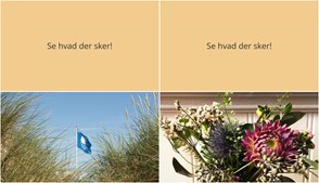 Weekend i Ærøskøbing: Naturvandring og Mexicansk Langbordsmiddag