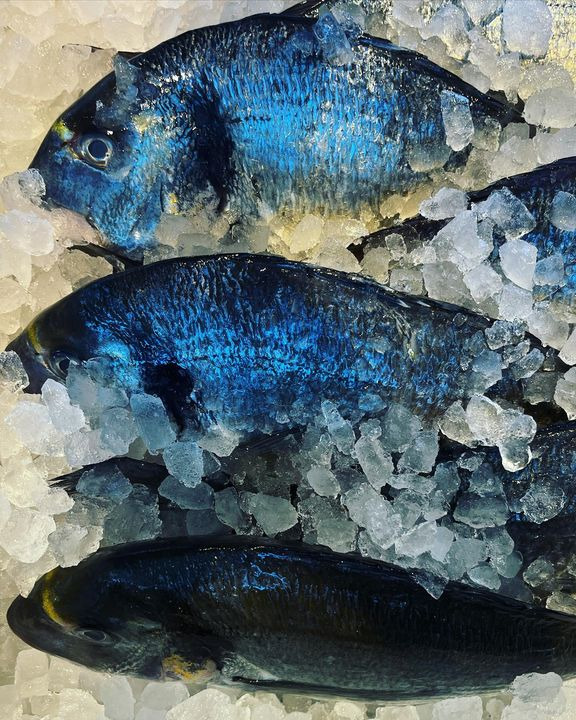 Det nyeste på Risskovs opslagstavle