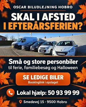 Opslagsbillede