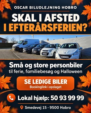 opslagsbillede
