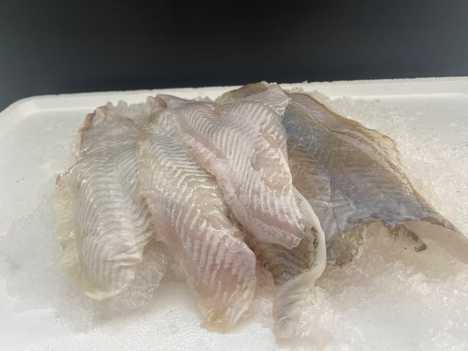 Havnens Fisk Øster Hurup tilbyder rødspættefileter til nedsat pris