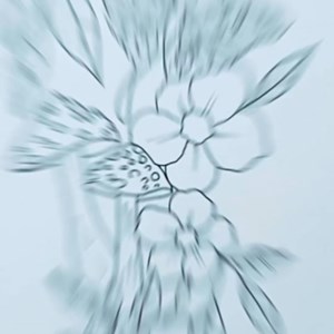 Opslagsbillede