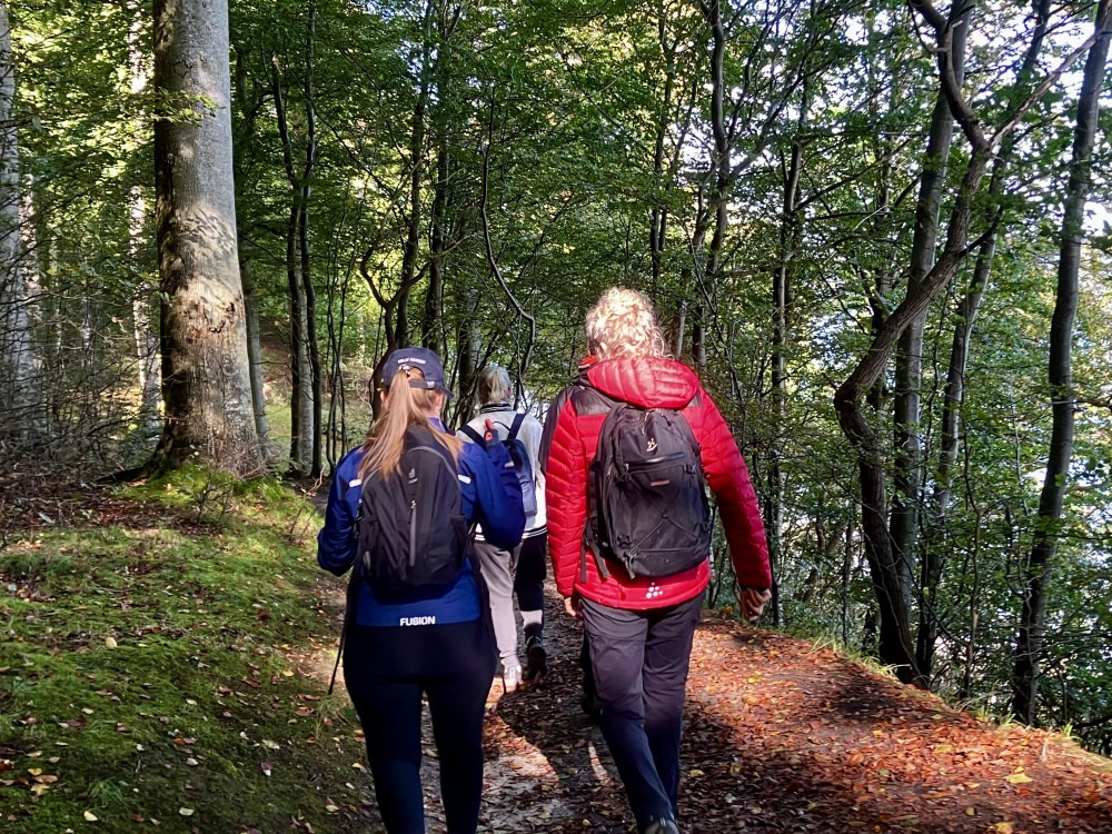 Oplev Silkeborgs natur og kunst på en guidet vandretur