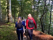 Oplev Silkeborgs natur og kunst på en guidet vandretur