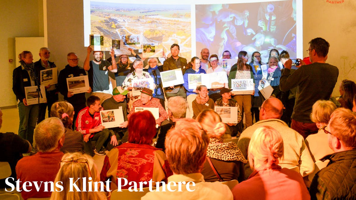 Nytårskur på Stevns Klint: Drømme og samarbejde for 2025