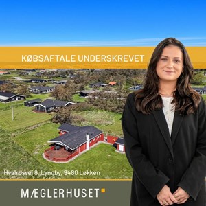 Opslagsbillede