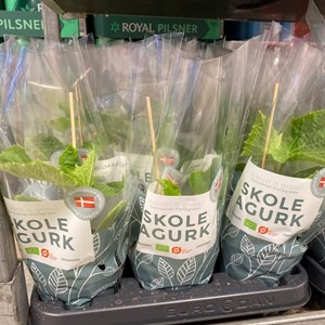 Opslagsbillede