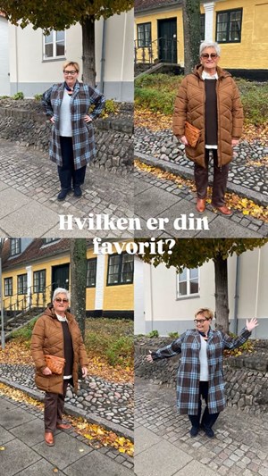 opslagsbillede