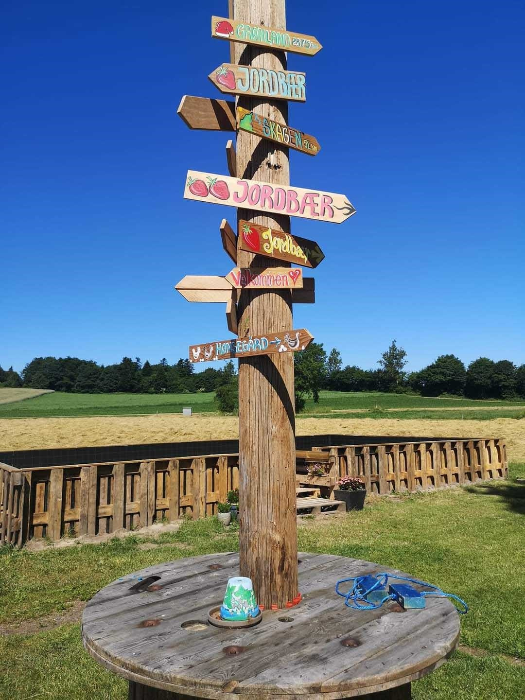 Jensen Jordbær: et idyllisk bondegårdsbesøg med kærlighed til jordbær