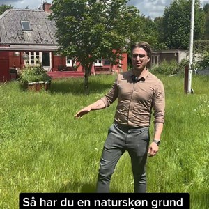 Opslagsbillede