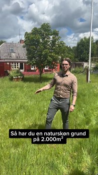 Opslagsbillede