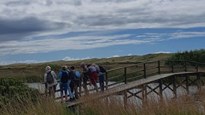 Oplev efterårets skønhed og smagfuld tapas i Nymindegab