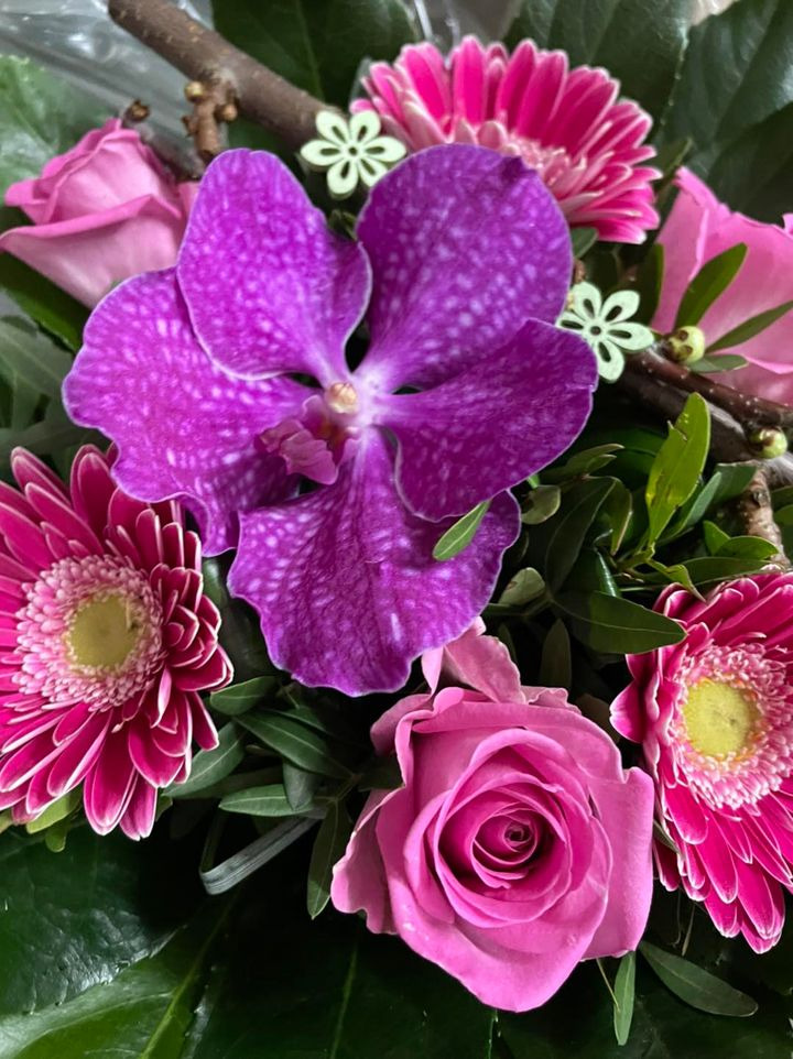 Opslagstavlen: Nyeste opdateringer fra Roslev