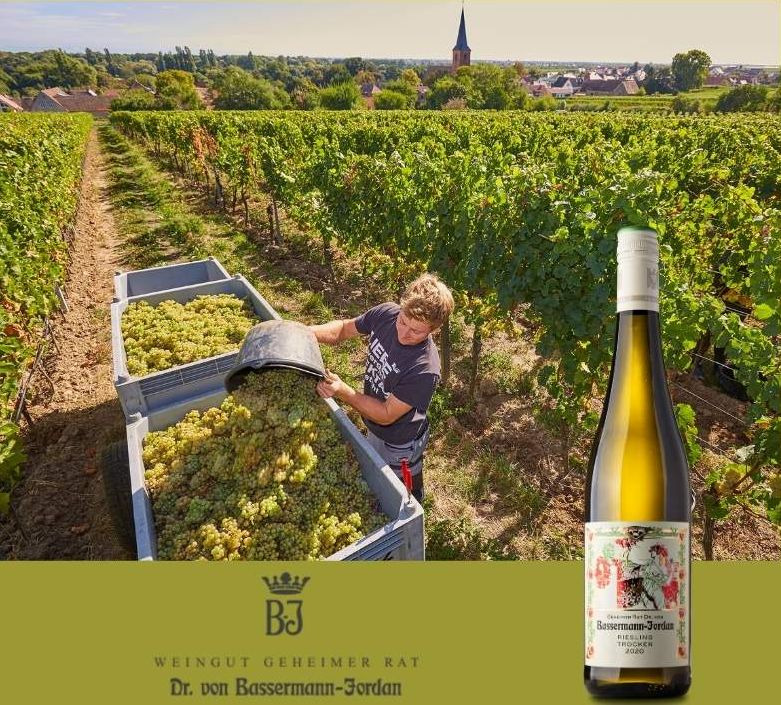 Opdatér dig her: Det nyeste fra Skive