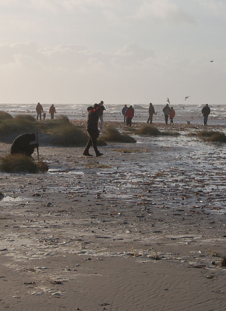Bliv en ægte ravjæger ved Blåvand strand