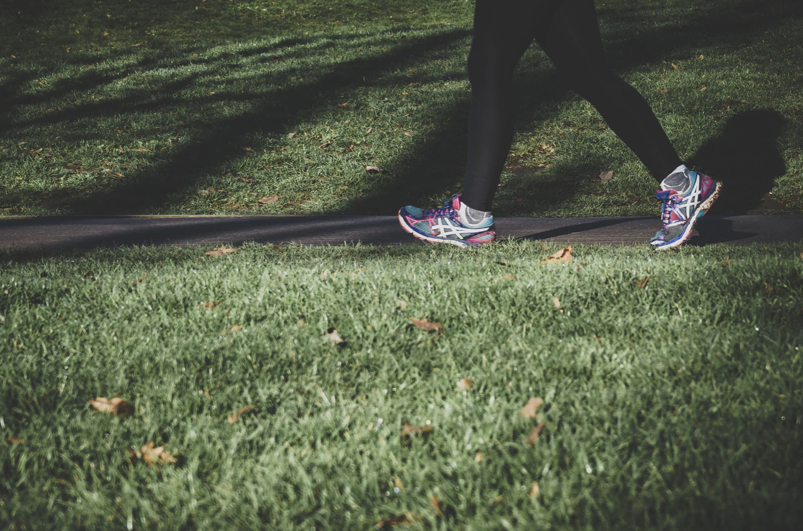 Nyd sommeren: Gåtur og en snak om spændende emner