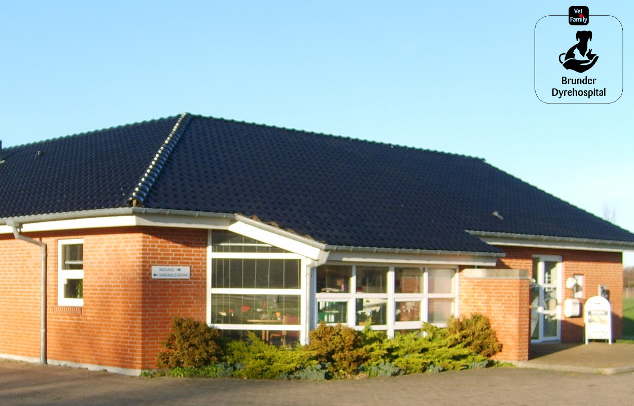 Lokalt dyrehospital slår rødderne snart 30 år tilbage: “Vi har et nært forhold til vores kunder“