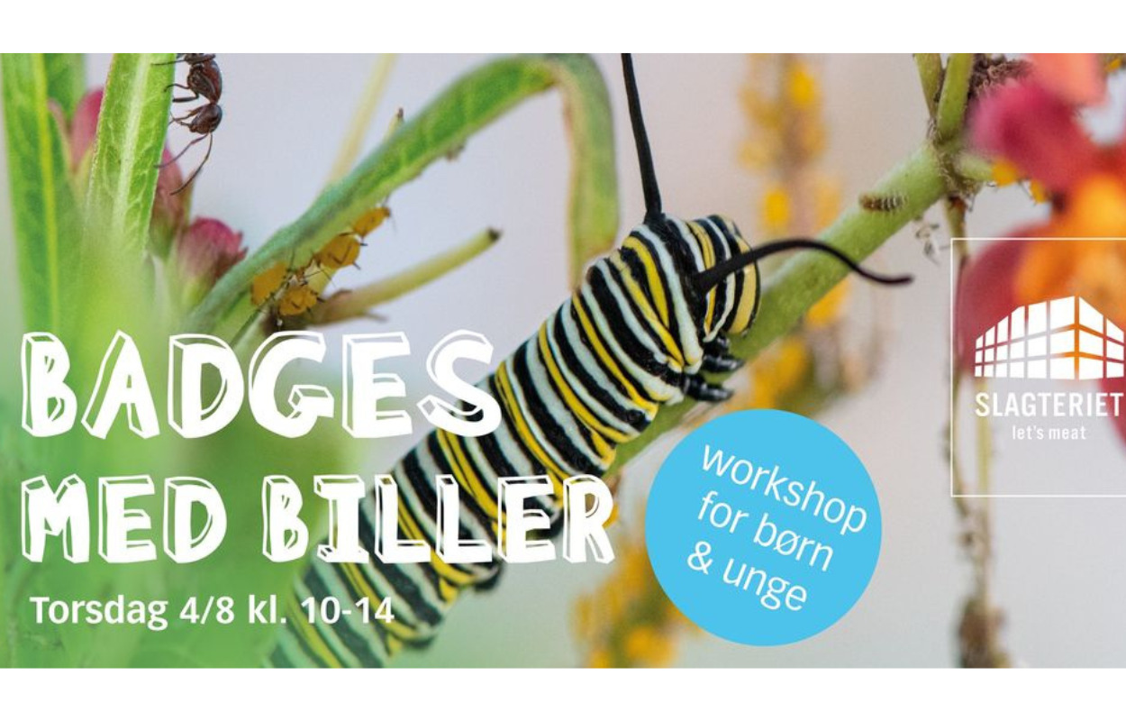 Sommeraktivitet i Holstebro: Lav seje badges med biller