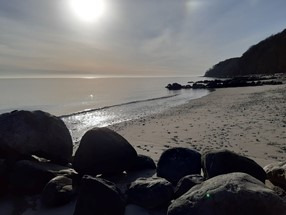 Se dagens updates fra Hammel her