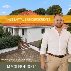 Opslagsbillede