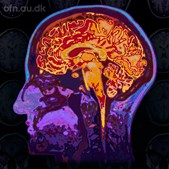 Find mening med livet gennem natur, musik og sociale relationer
