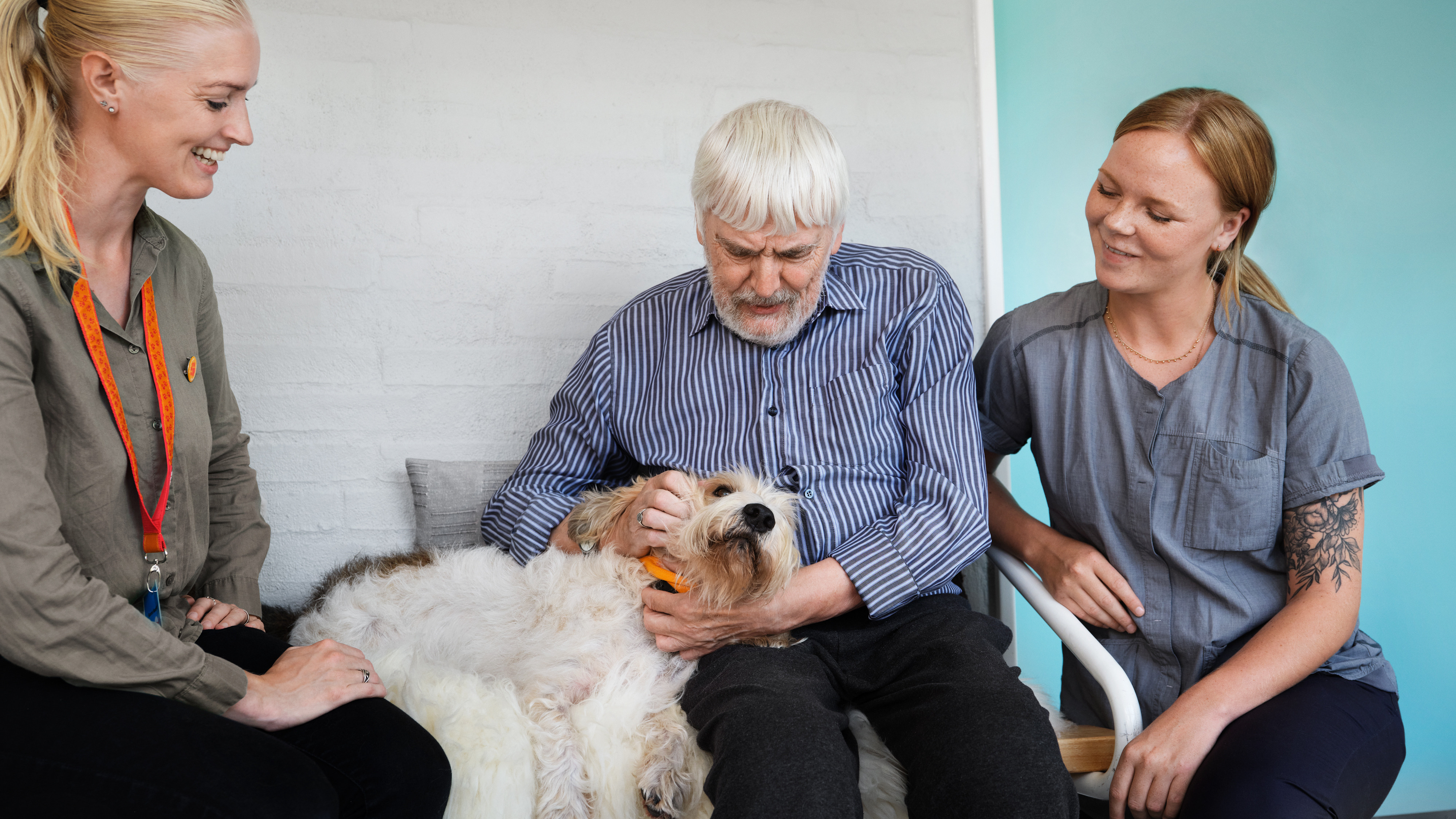 14 nye besøgshunde bestod optagelsesprøven i Slagelse