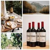 Udforsk Argentinas vinverden med Pyros Malbec og Syrah på tilbud