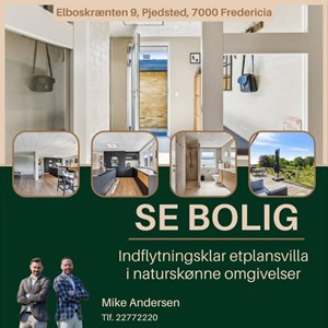 Opslagsbillede