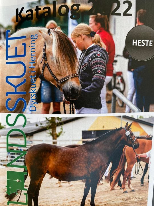 Opslagstavlen: Nyeste opdateringer fra Herning