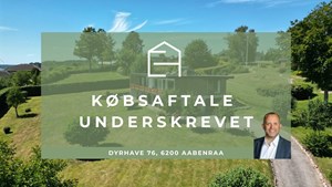 opslagsbillede