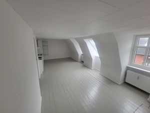 opslagsbillede