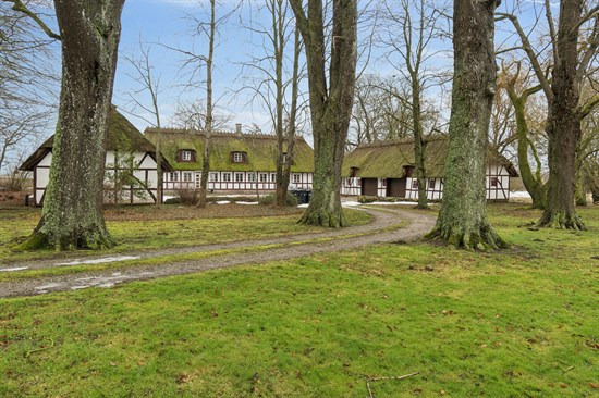 Netop kommet til salg: Longvej 9 en af Ørbæks dyreste adresser