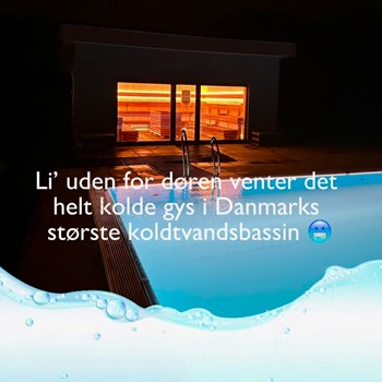 Opslagsbillede