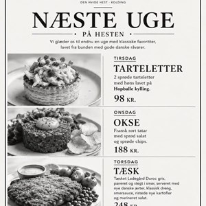 Opslagsbillede