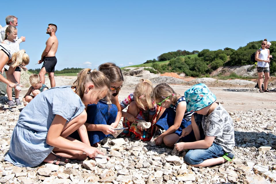 Fossiljagt med Fur Museum i uge 28