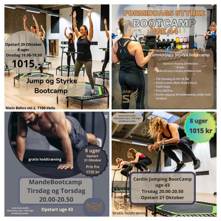 LeneS annoncerer nye bootcamps i oktober