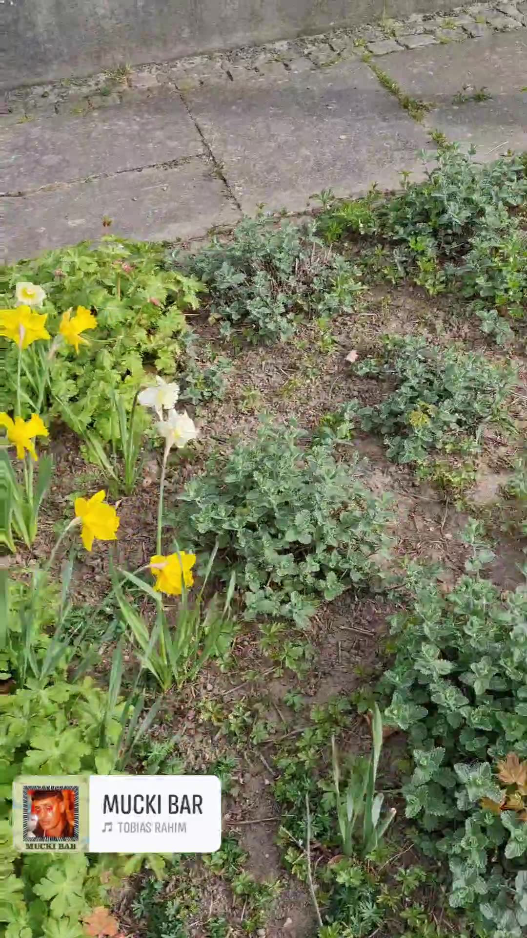 Nyt på opslagstavlen i Vejle