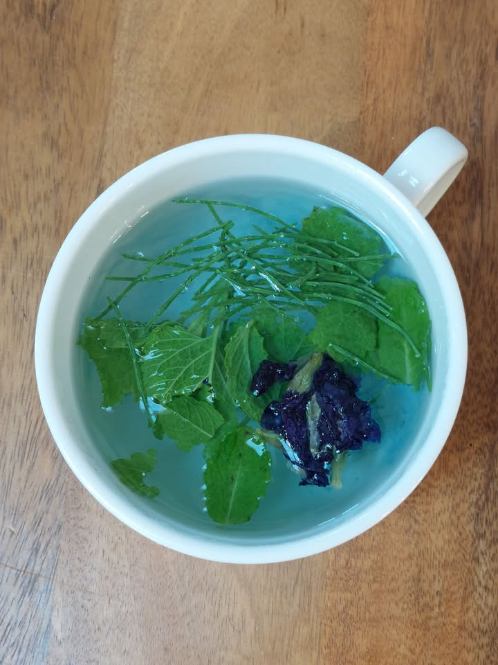 Kost og Krop eksperimenterer med sund te fra thailandsk ærteblomst